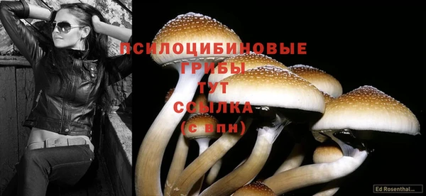 эйфоретик Горнозаводск